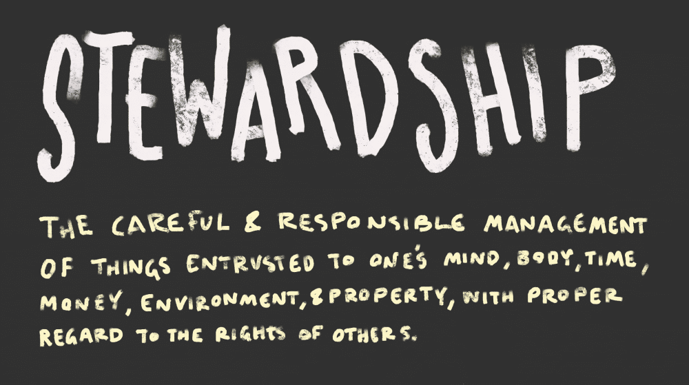 character-counts-stewardship-wisdom-wonder-project